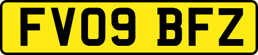 FV09BFZ