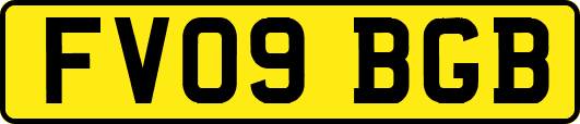 FV09BGB