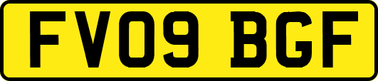 FV09BGF