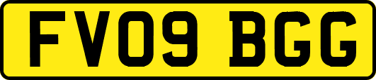 FV09BGG
