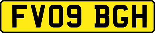 FV09BGH