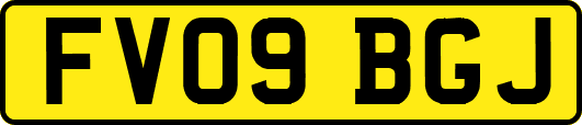 FV09BGJ