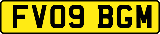 FV09BGM