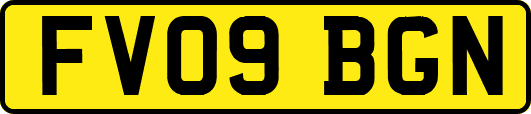 FV09BGN