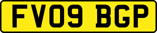 FV09BGP