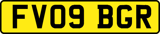 FV09BGR