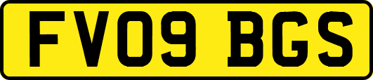 FV09BGS