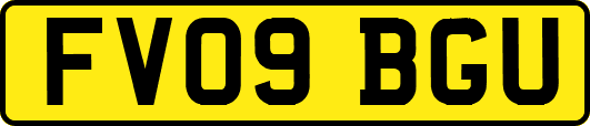 FV09BGU