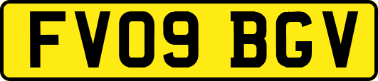FV09BGV