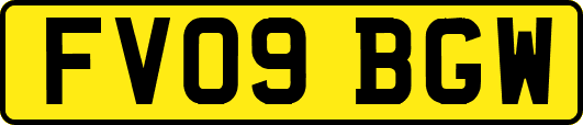 FV09BGW