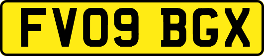 FV09BGX