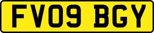 FV09BGY