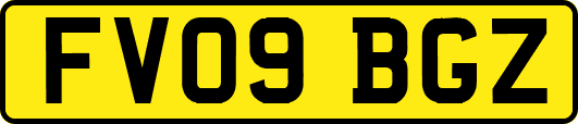 FV09BGZ