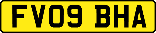 FV09BHA