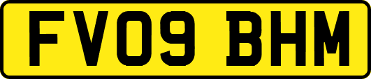 FV09BHM