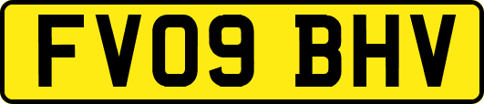 FV09BHV