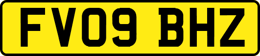 FV09BHZ