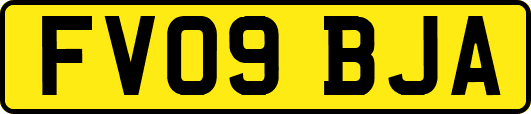 FV09BJA