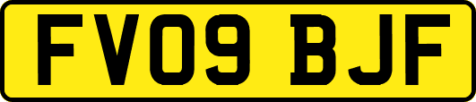 FV09BJF
