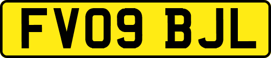 FV09BJL