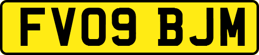 FV09BJM