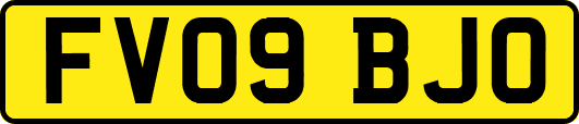 FV09BJO