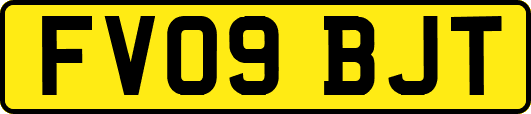 FV09BJT