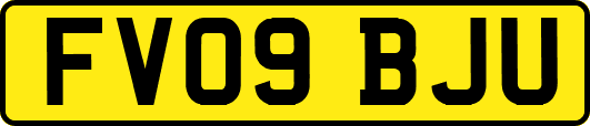 FV09BJU