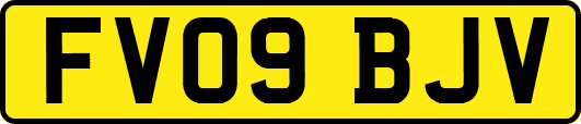 FV09BJV