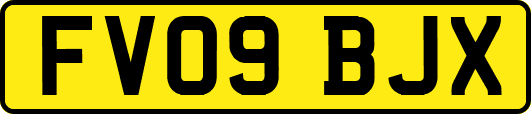 FV09BJX