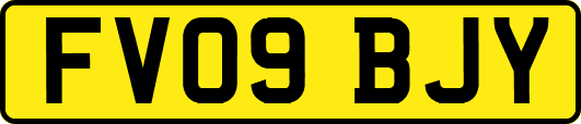 FV09BJY