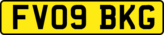 FV09BKG