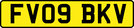 FV09BKV