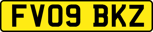 FV09BKZ