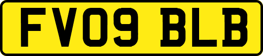 FV09BLB