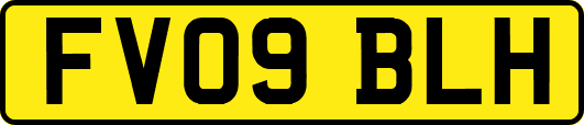 FV09BLH