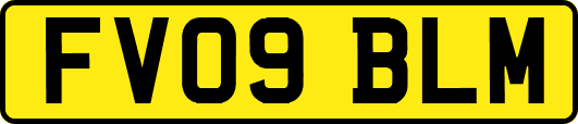 FV09BLM