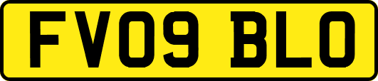 FV09BLO