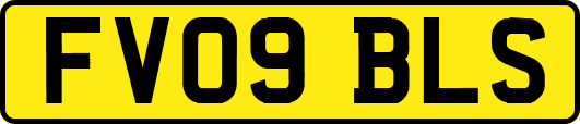 FV09BLS