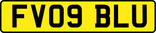 FV09BLU