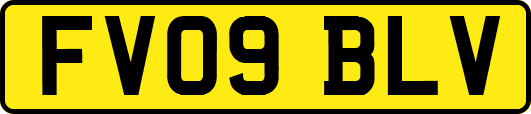 FV09BLV