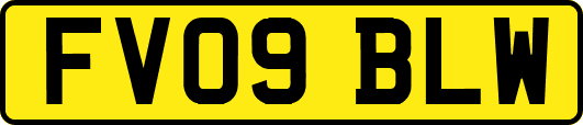 FV09BLW