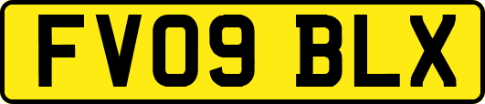 FV09BLX