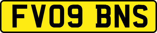 FV09BNS