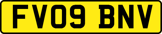 FV09BNV