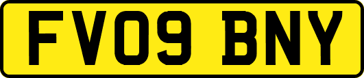 FV09BNY