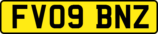 FV09BNZ
