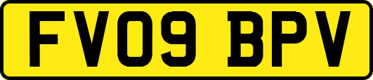 FV09BPV