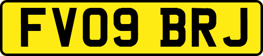 FV09BRJ