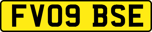 FV09BSE